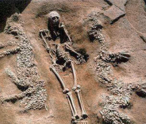6500 年前的河南濮阳西水坡仰韶文化墓葬 · The 6,500-year-old Burial at Xishuipo, Puyang