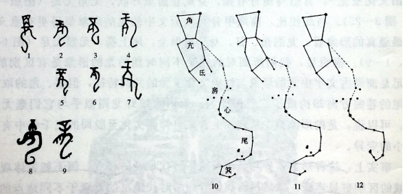 甲骨文「龙」字演变